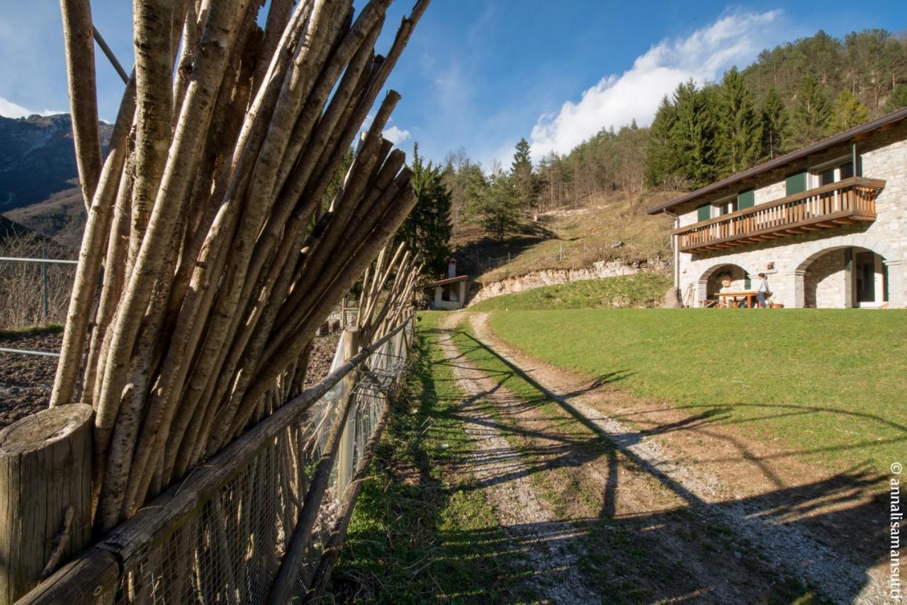 Agriturismo Borgo Titol Tramonti di Sopra 外观 照片
